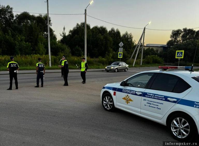 Фото здесь и далее: пресс-служба УМВД России по Псковской области