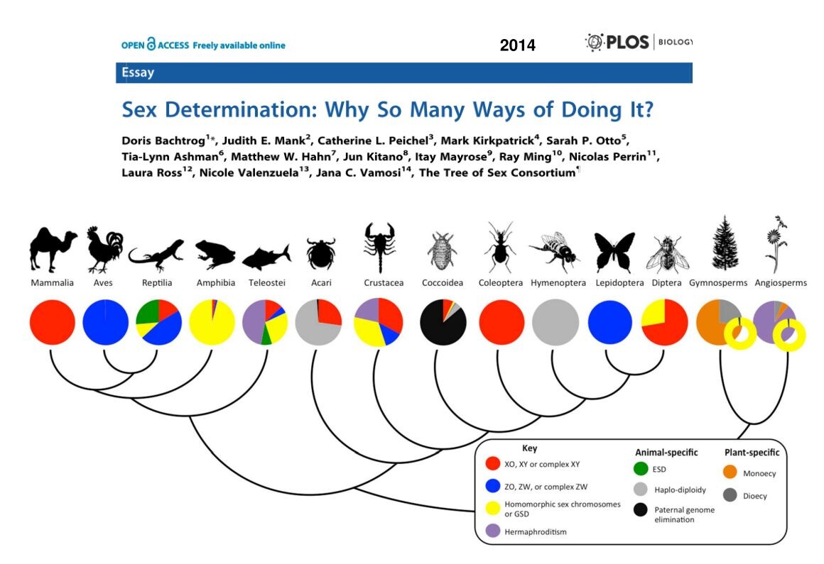 Различные системы детерминации пола