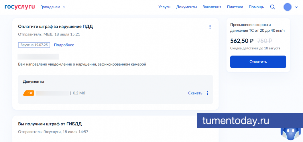  Фото: gosuslugi.ru