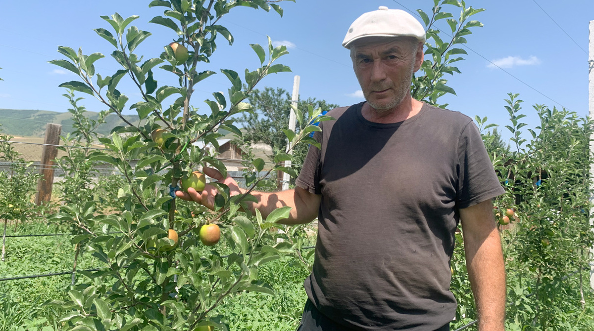 Виктор Косов занялся новым для себя делом - садоводством. Фото автора.