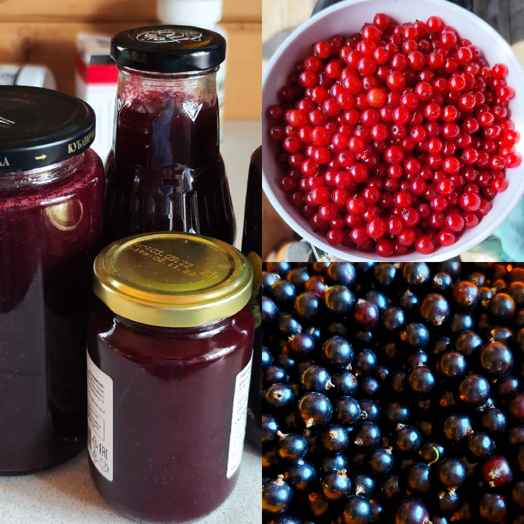 Коллаж автора. 