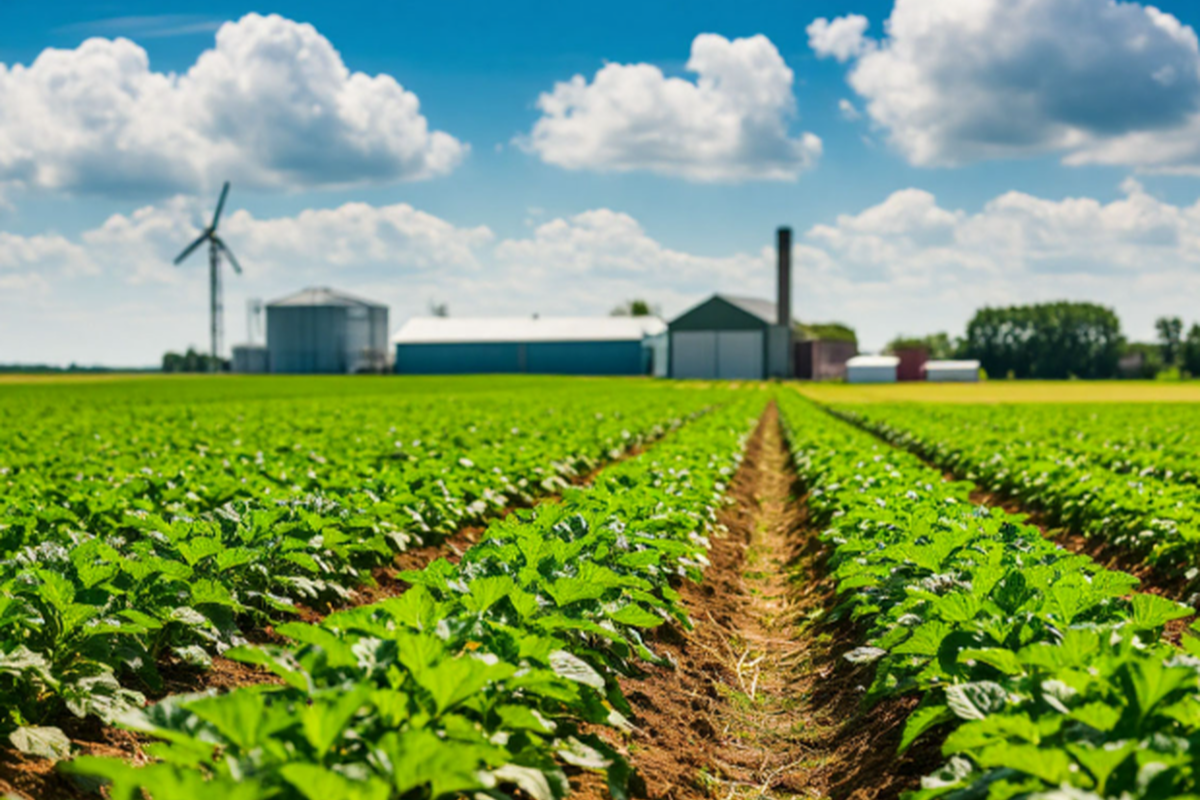    Фото: Шедеврум