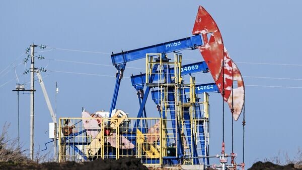    © РИА Новости . Максим Богодвид