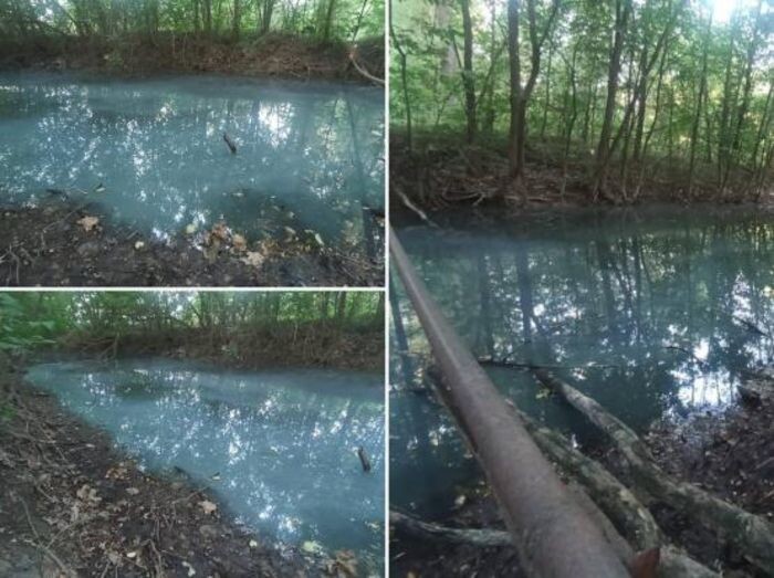 Источник фото: соцсети