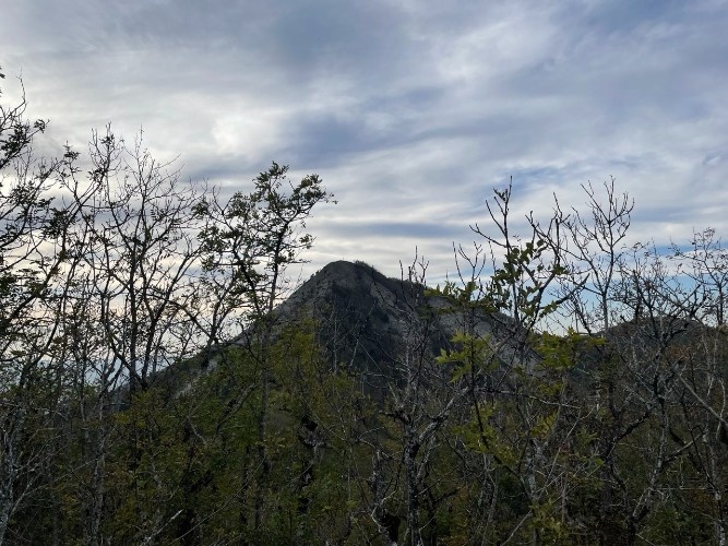    Фото: «Кубань Информ»