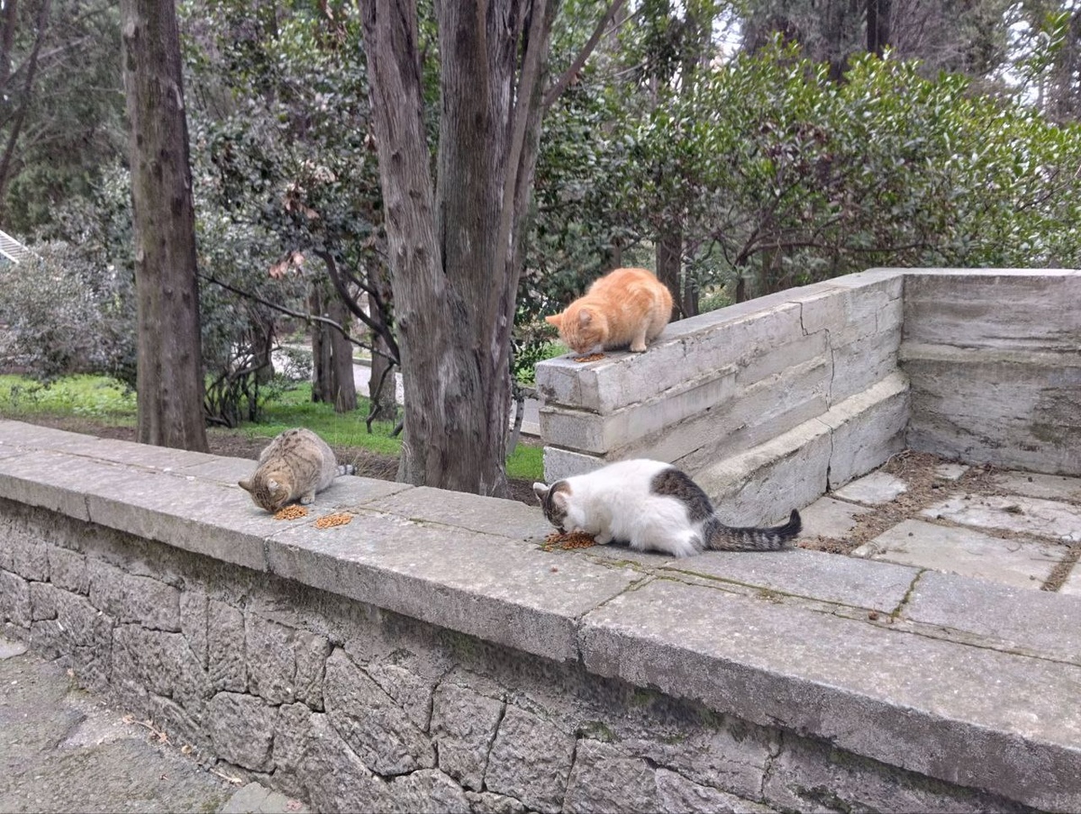 Завтракают в Дюльбере