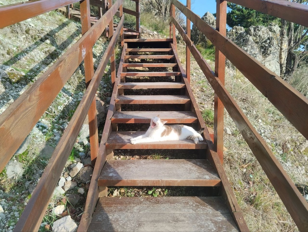 Лестница на Болгатуру в Гурзуфе