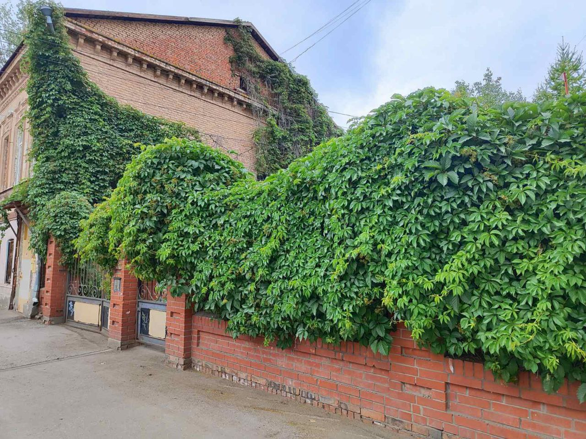 Фото автора.