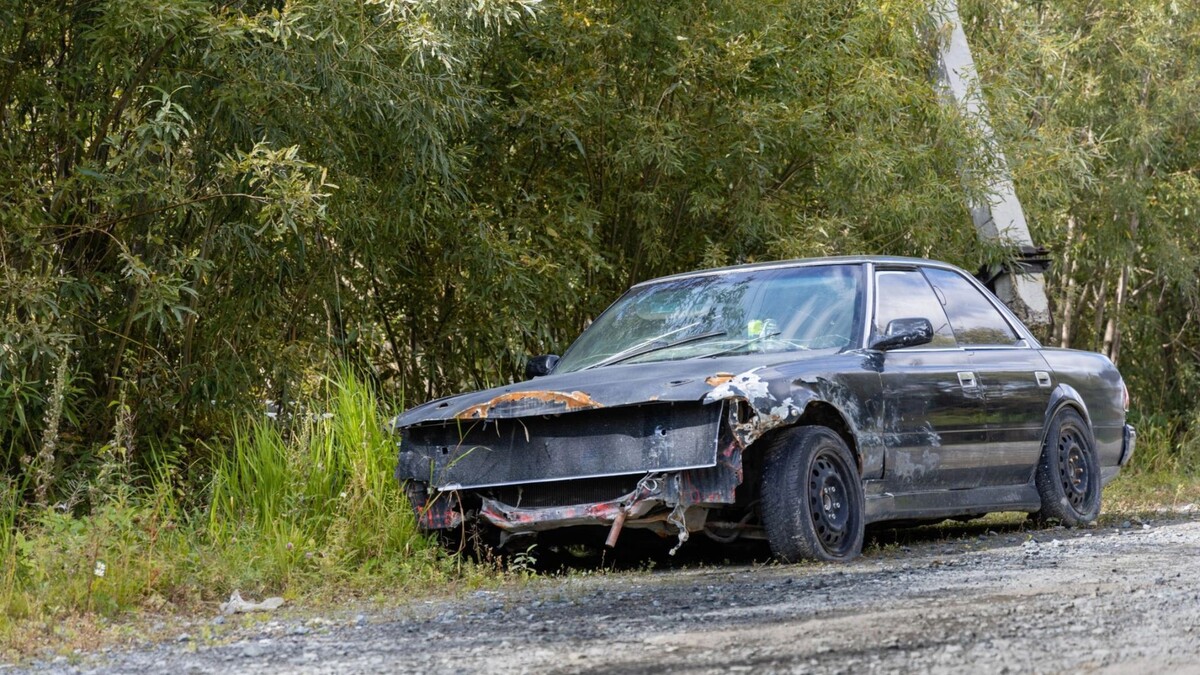    Фото: Федор Воронов/«Ямал-Медиа»