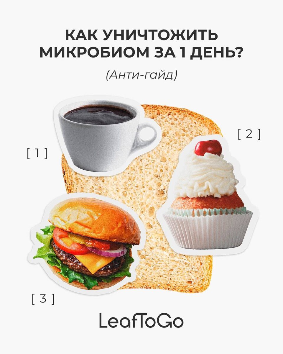 Уничтожить микробиом проще простого. Стресс и фастфуд – твои лучшие друзья. Но стоит ли оно того?