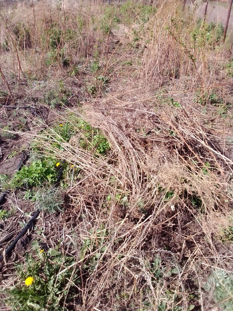 Фльл автора