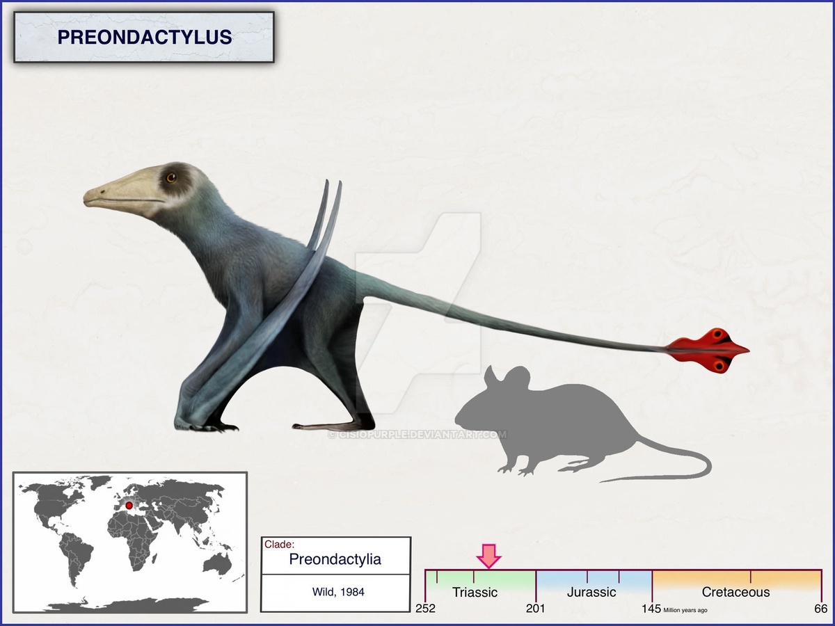 Преондактил. 