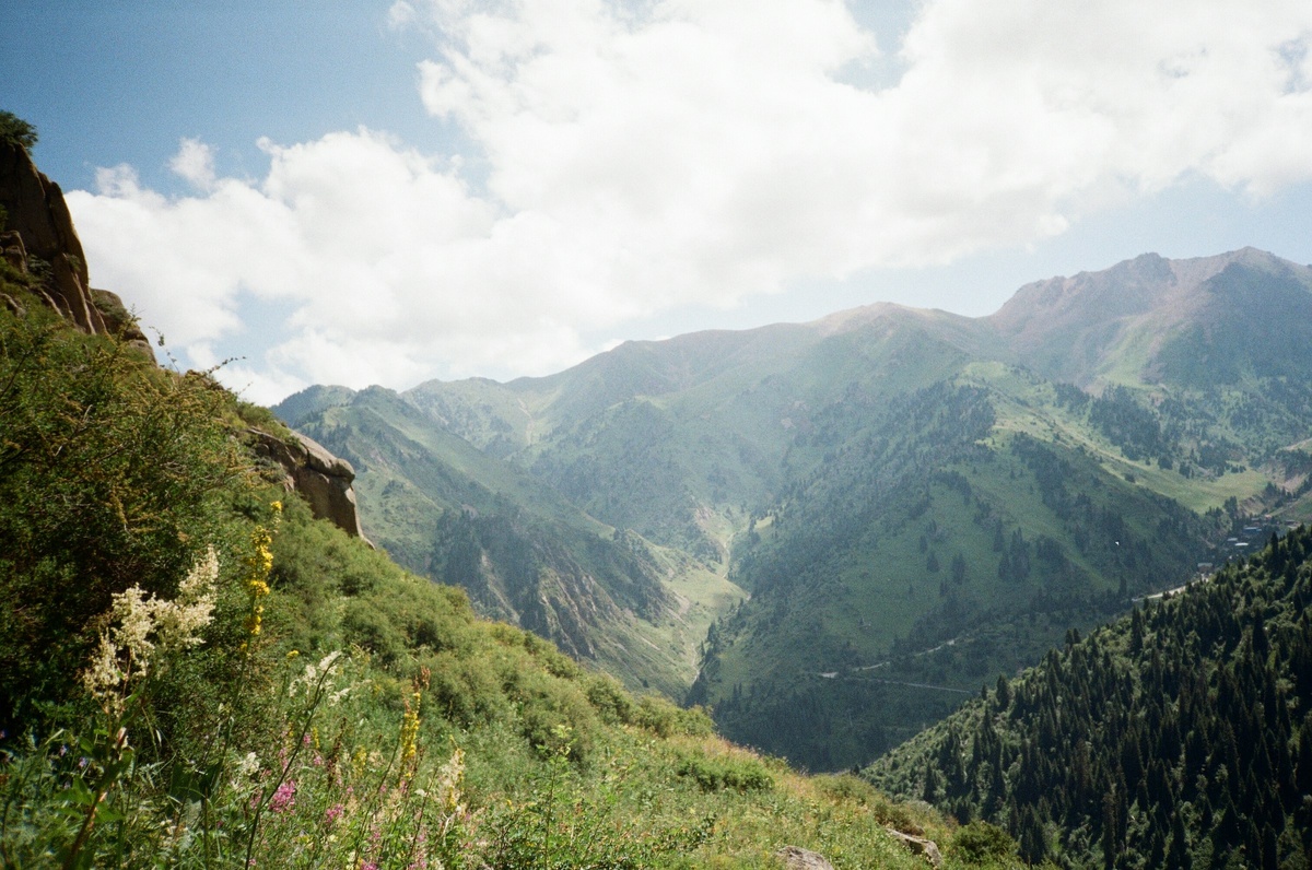 Фото с бесплатного фотостока https://unsplash.com, автор Marie Gavrilchak