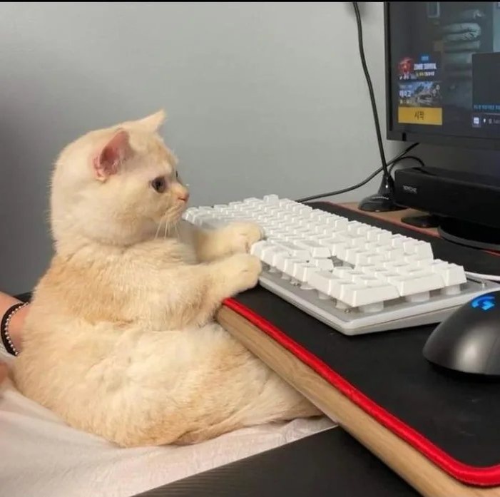 источник Яндекс-картинки