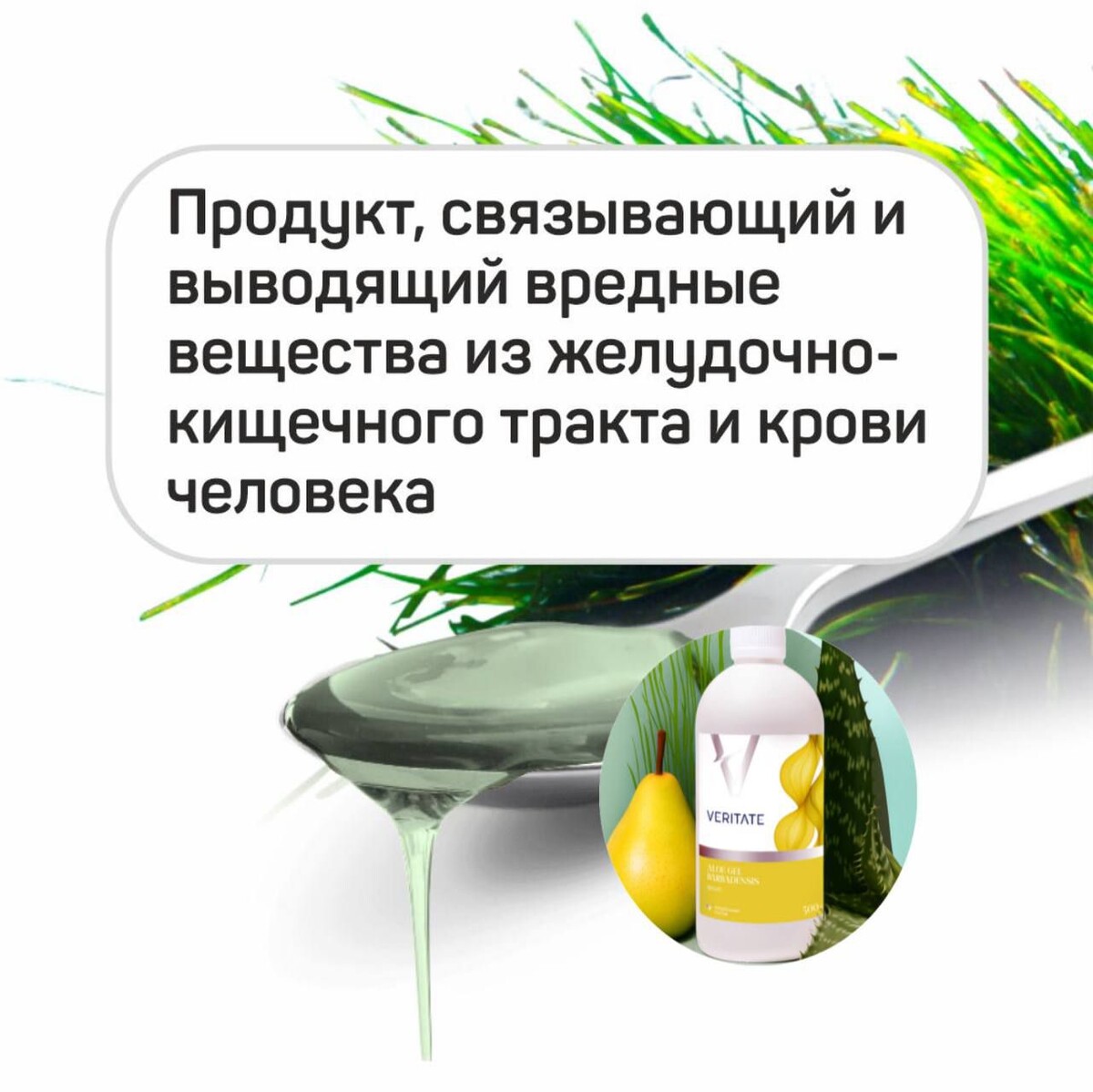 Гель алоэ вера Барбаденсис (без алоина), экстракт постеры, сок груши