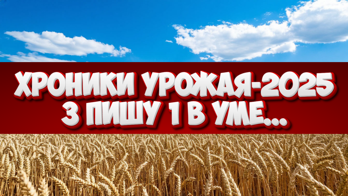 Страховка, погода и математика чудес: что держит прогноз в 135 млн тонн на плаву
