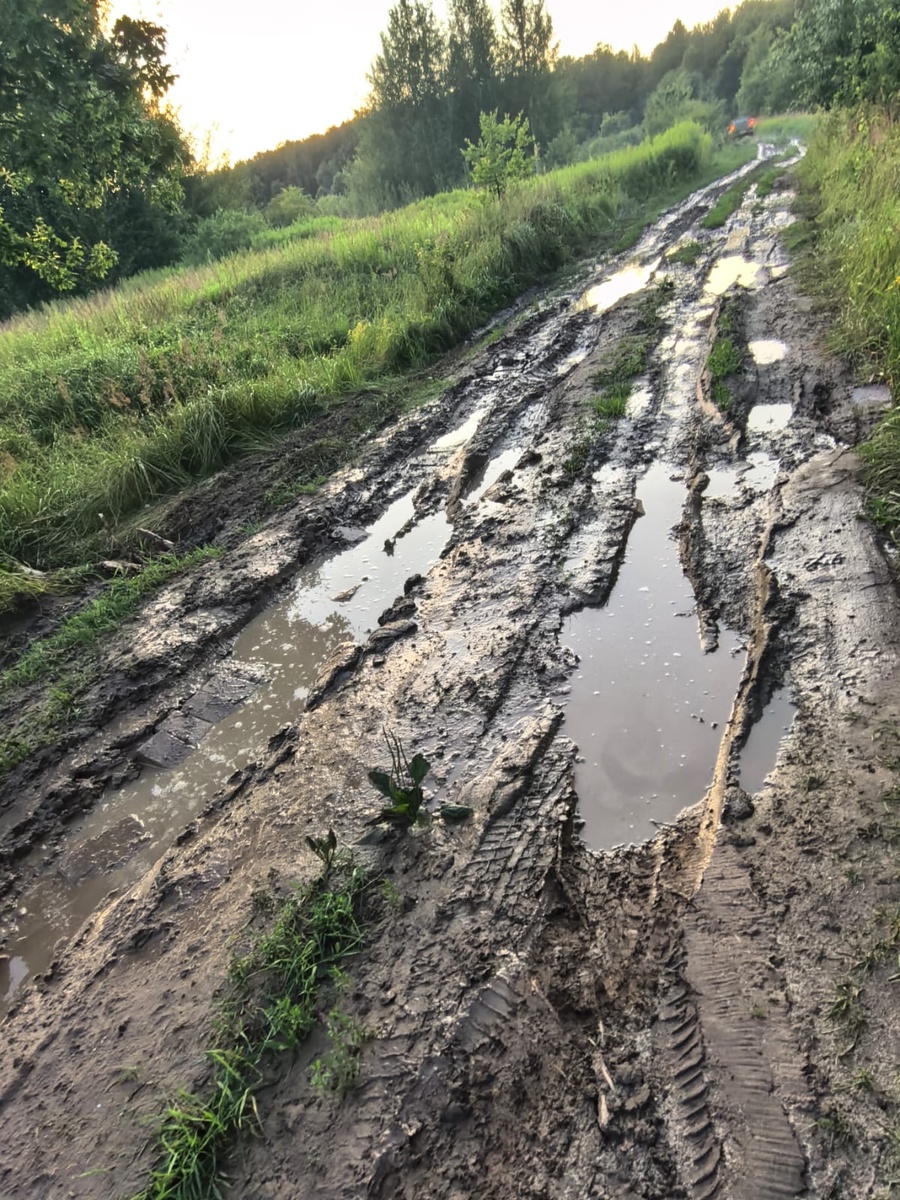 Лишь малая часть нашего ежедневного невыносимого пути к нашим хвостикам
