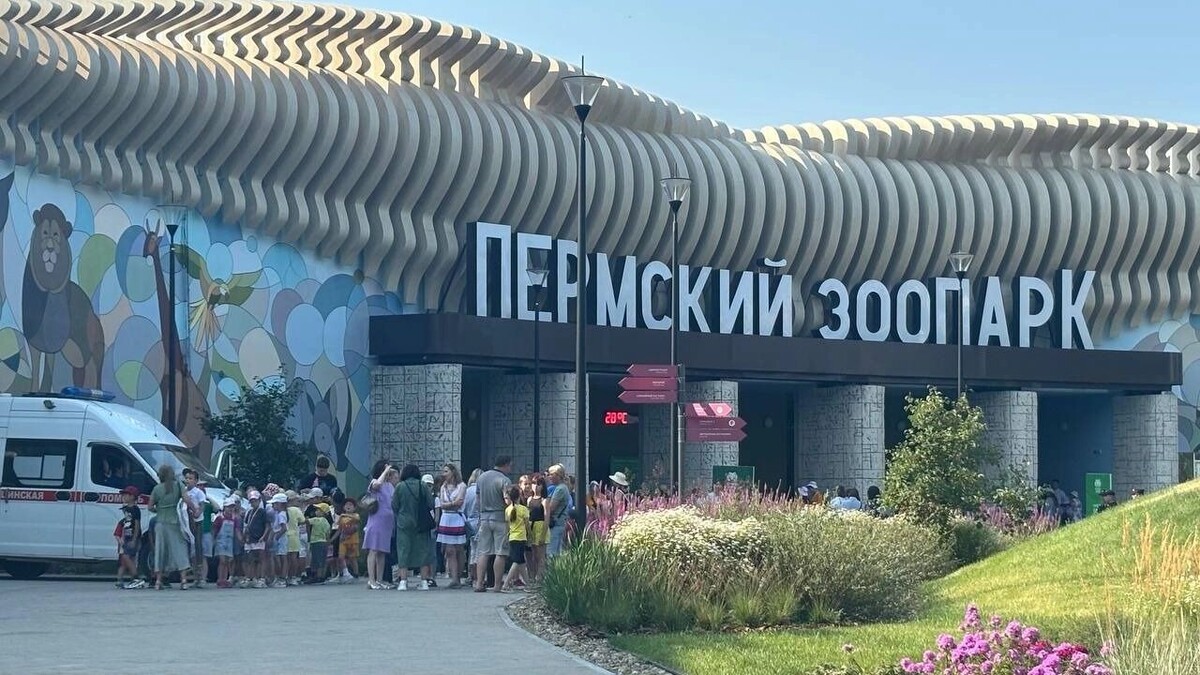     Источник: properm.ru