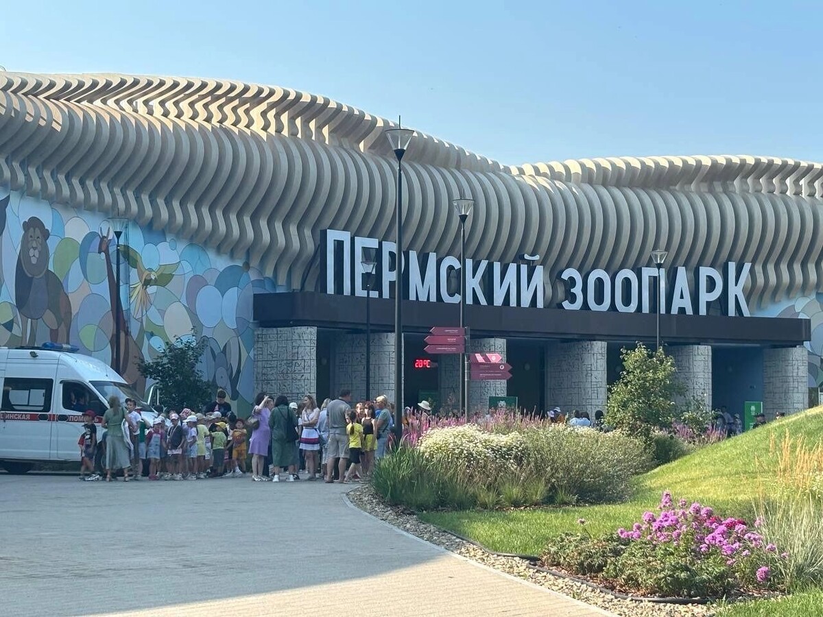     Источник: properm.ru