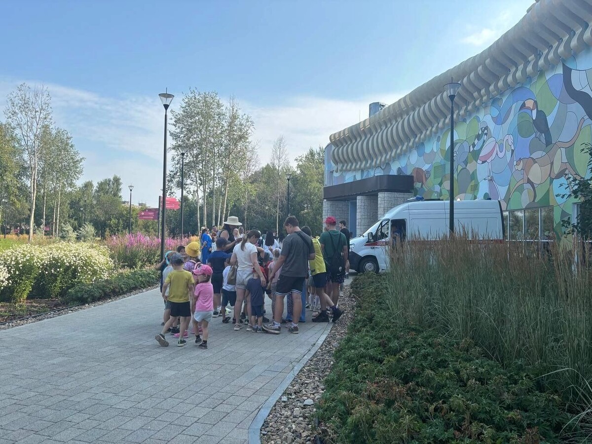     Источник: properm.ru