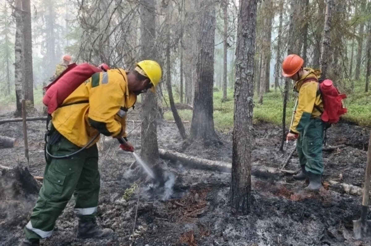    Свидская взяла на контроль ситуацию с десантниками-пожарными