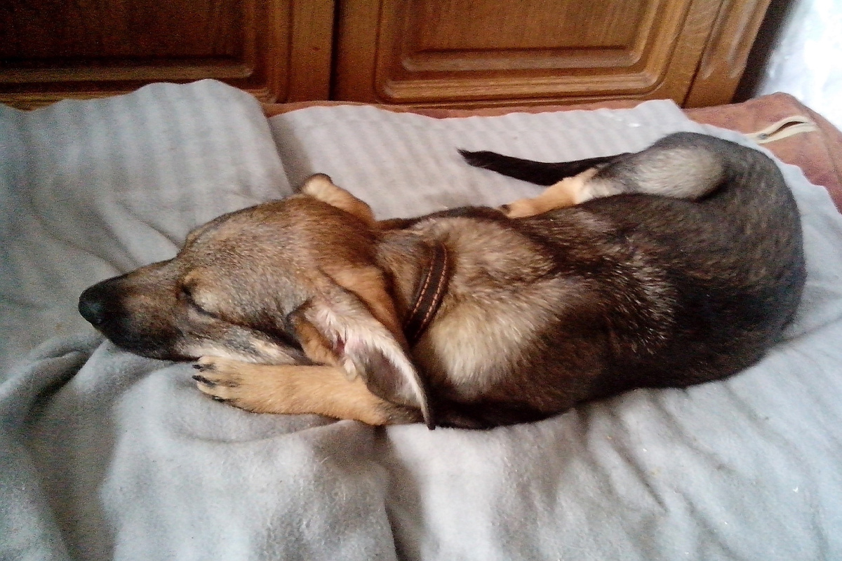 Такой к нам Тося попала с улицы