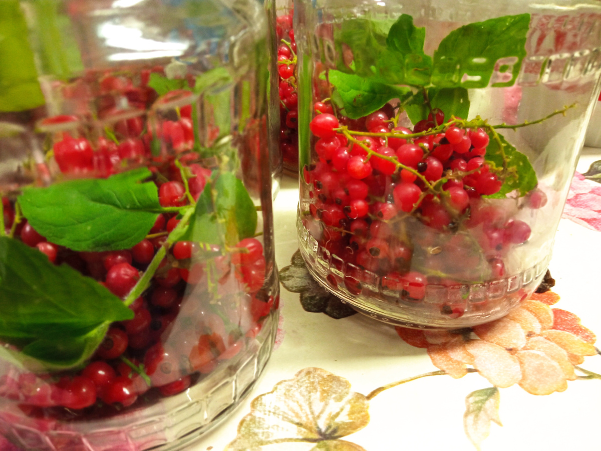 КОМПОТ изх красной смородины с мятой