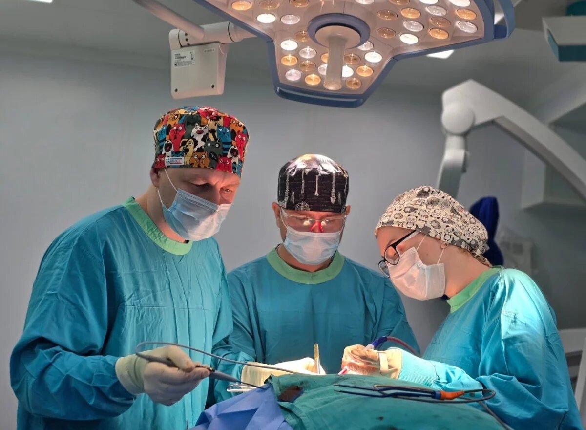    Тюменские врачи провели уникальную реконструкцию мочевого пузыря