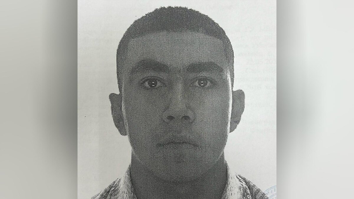    Фото: t.me/procspb