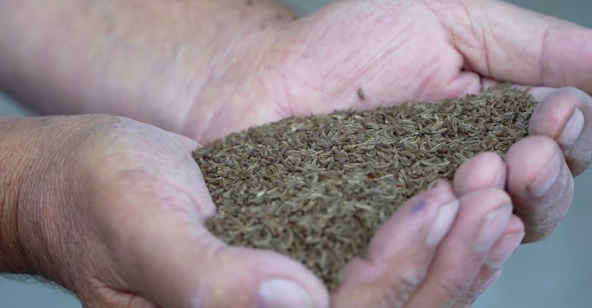 Фото mcx.gov39.ru