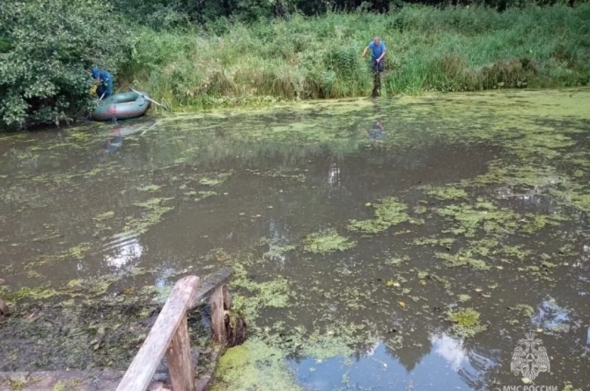    Во Владимирской области утонул еще один человек