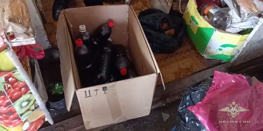    Фото: телеграм-канал "Ирина Волк"