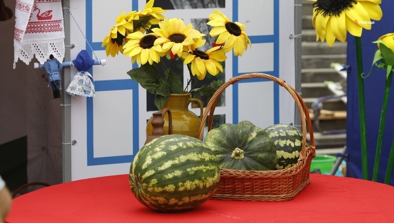      Фото: ИА «Победа26»