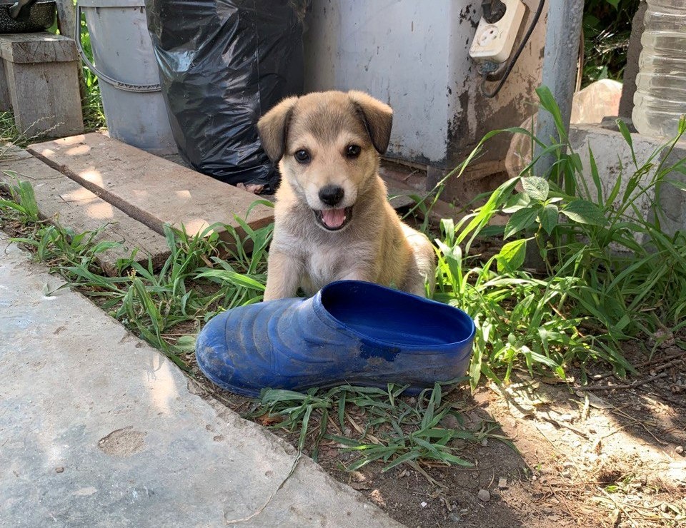 Рита в возрасте 1 месяца