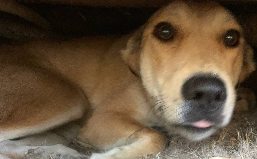 Разбудила Ритку, чтобы сделать фотографию