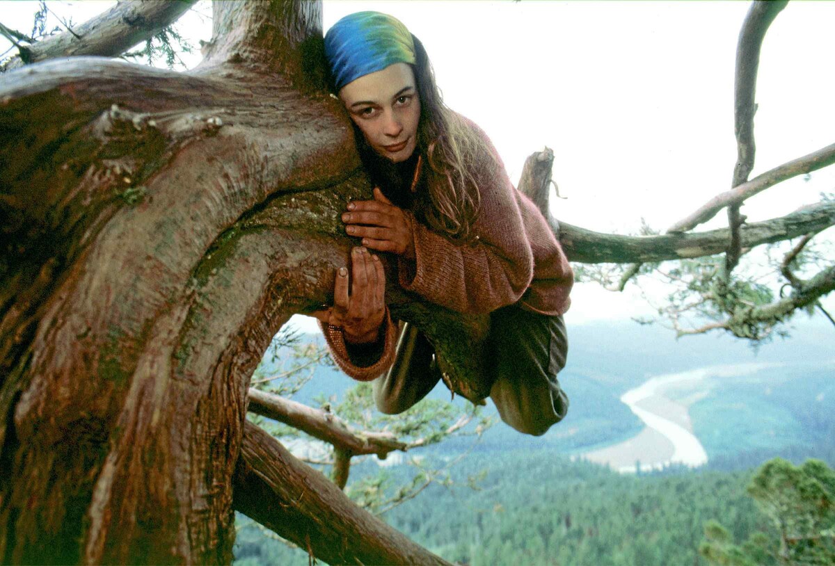 Изображение взято с сайта https://i.pinimg.com/originals/8b/92/f0/8b92f0d122df2c2d302e88c63a178b42.jpg