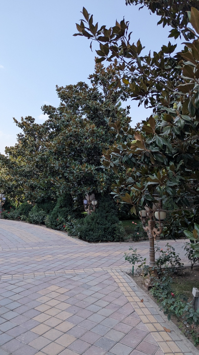 Прилегающая территория 