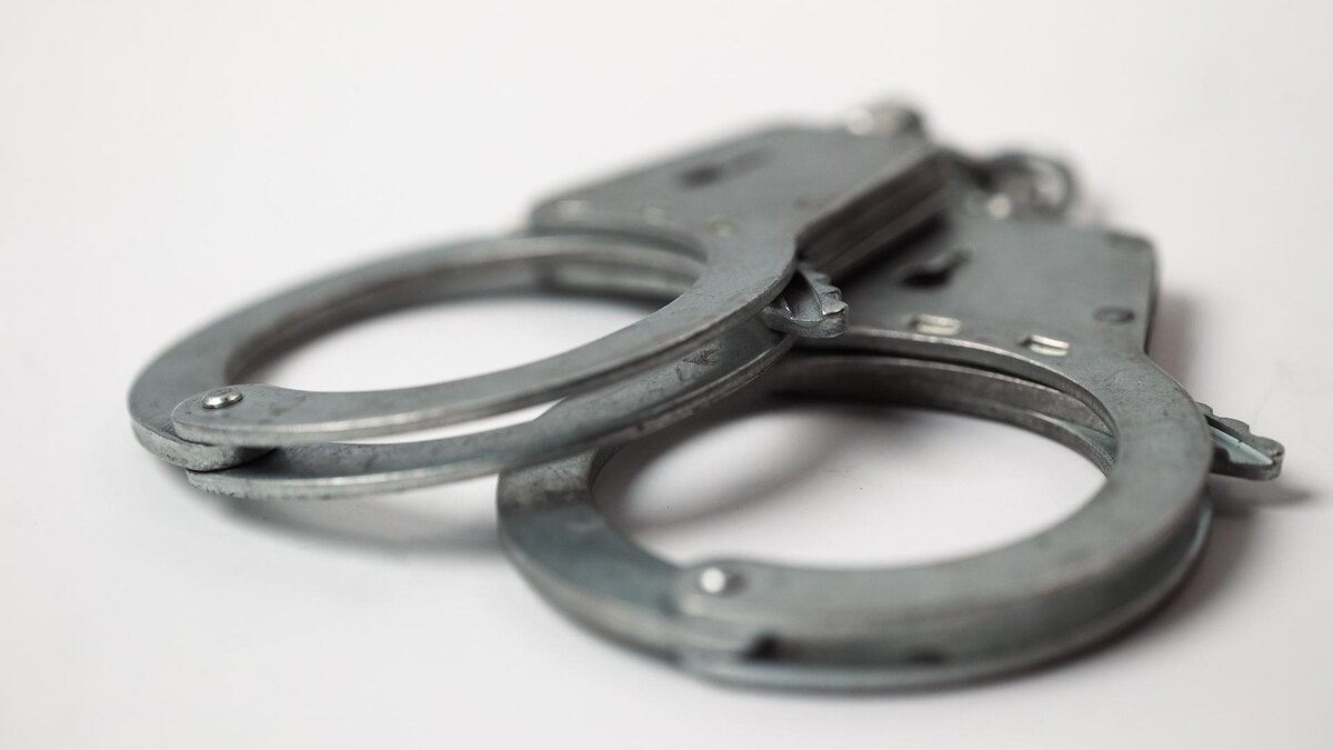    Фото: ИЗВЕСТИЯ/Телеканал «78»