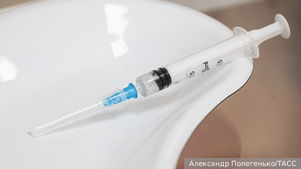     Фото: Александр Полегенько/ТАСС   
 Текст: Дарья Григоренко