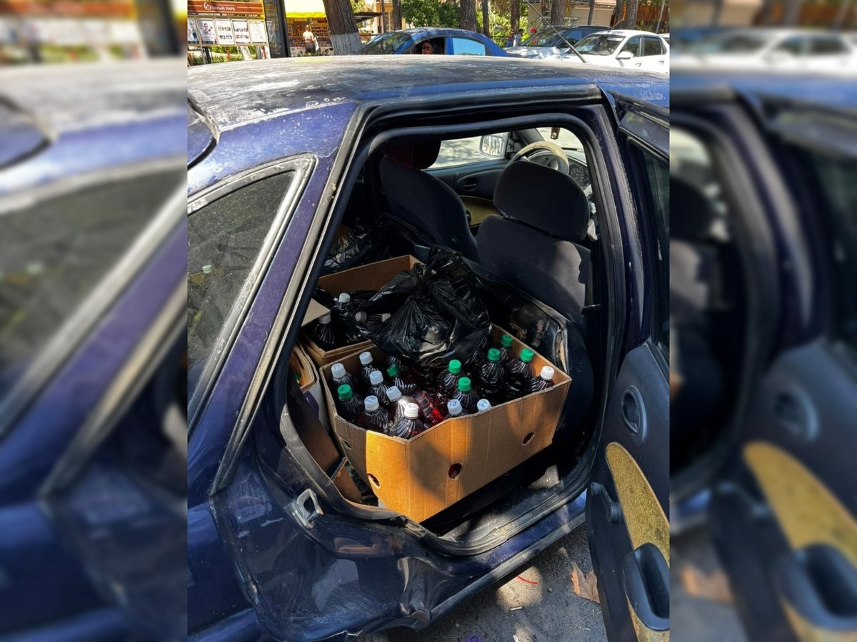    Фото: МВД по Краснодарскому краю