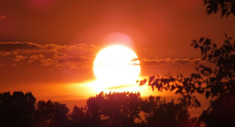    Victor Lisitsyn, Виктор Л/Global Look Press / www.globallookpress.com