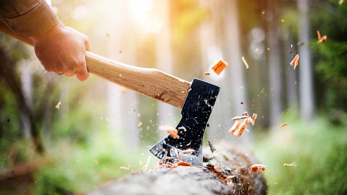    Фото: Krasula/Shutterstock/Fotodom