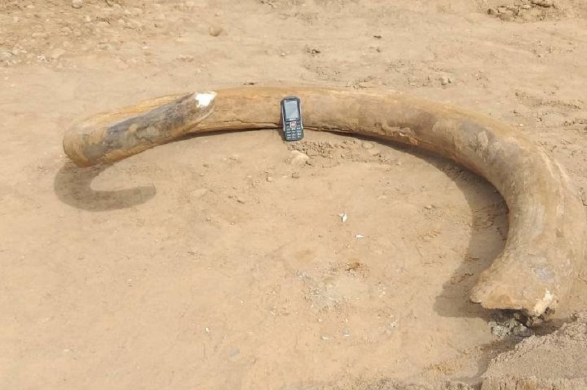     Фото: институт истории НАН Беларуси