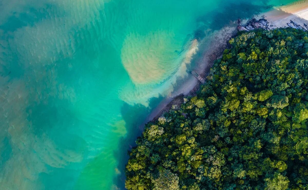    Король Малайзии изучает Россию, а россияне ищут новых впечатлений в Малайзии