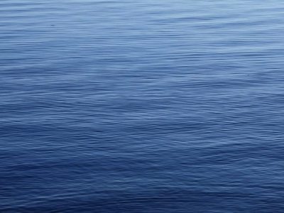    Фото: ГТРК Карелия