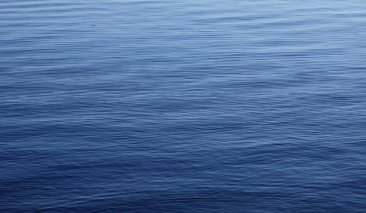    Фото: ГТРК Карелия