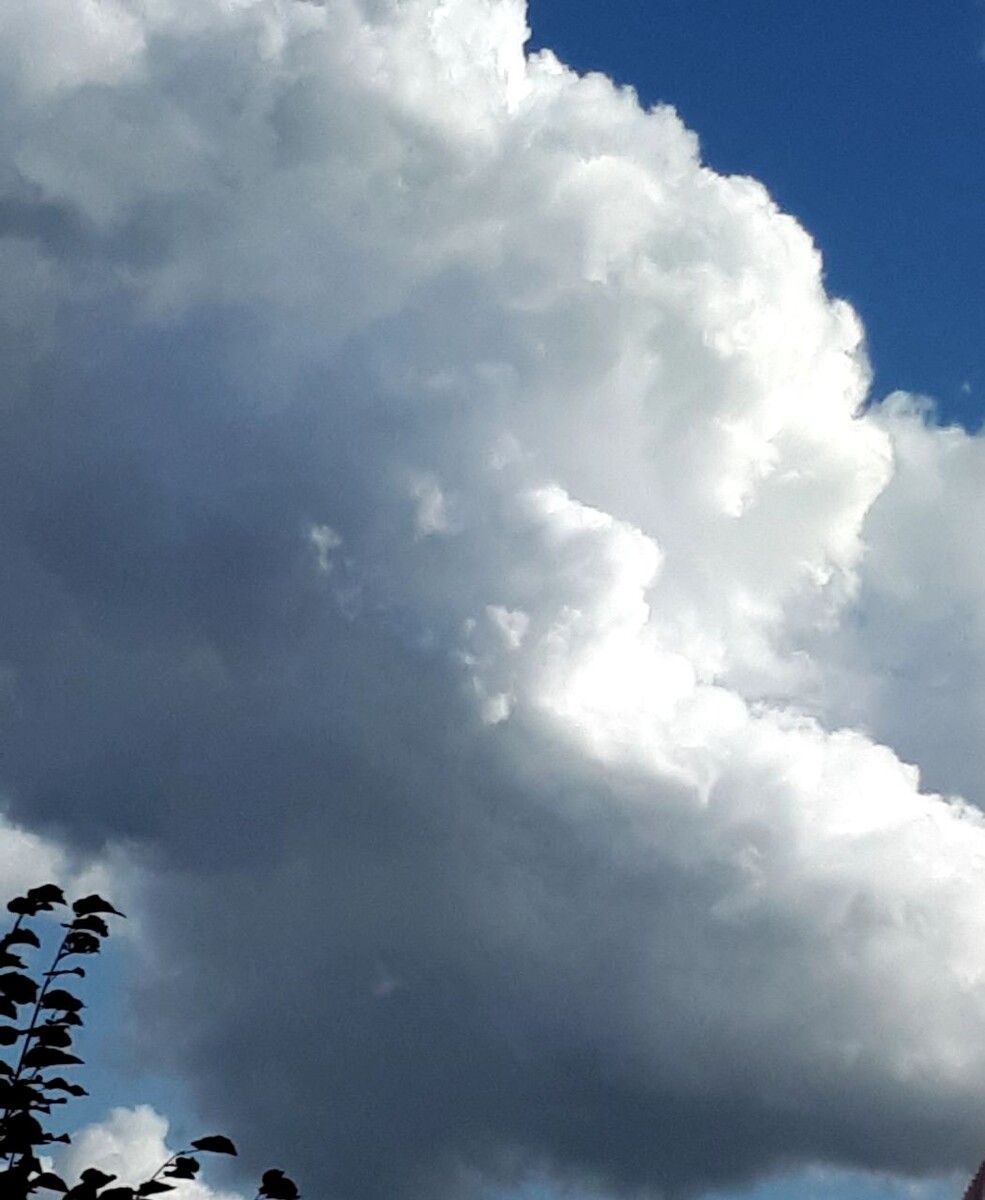 Фото автора статьи 07.08.2025г.