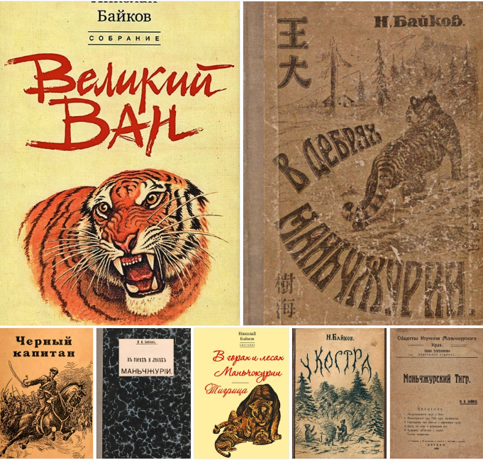 Подборка книг Н.А. Байкова