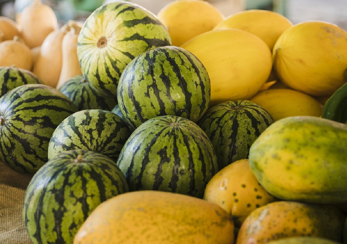    Ожидается, что сезон бахчевых в России продлится до середины октября