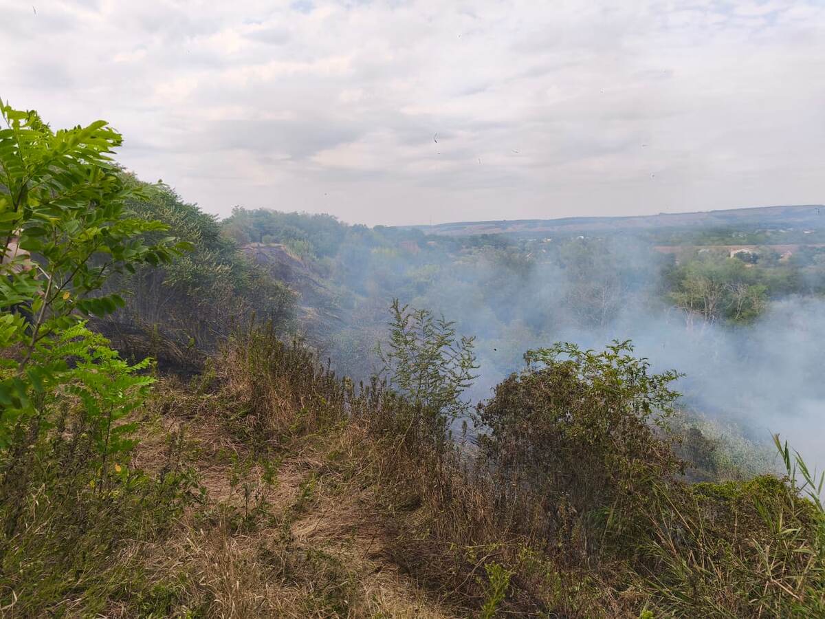    Фото: ГБУ КК «Краевой лесопожарный центр»